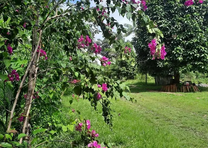 Eco Hotel Mãe De Sagui